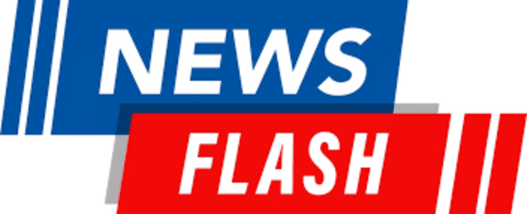 Newsflashburst com